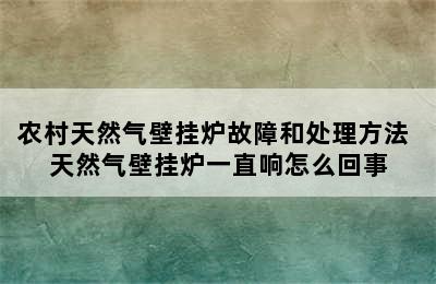 农村天然气壁挂炉故障和处理方法 天然气壁挂炉一直响怎么回事